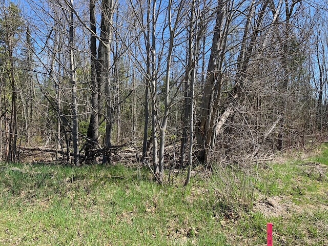 LOT38 E Houghton Lake Dr, Houghton Lake, MI 48629