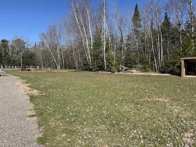 view of grassy yard
