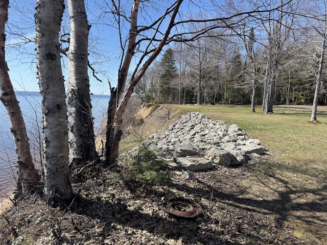 view of grassy yard