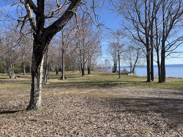 view of yard with a water view