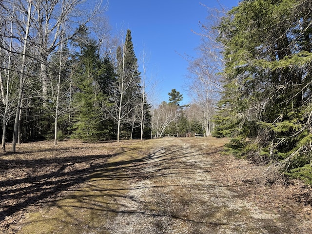 view of road with a view of trees