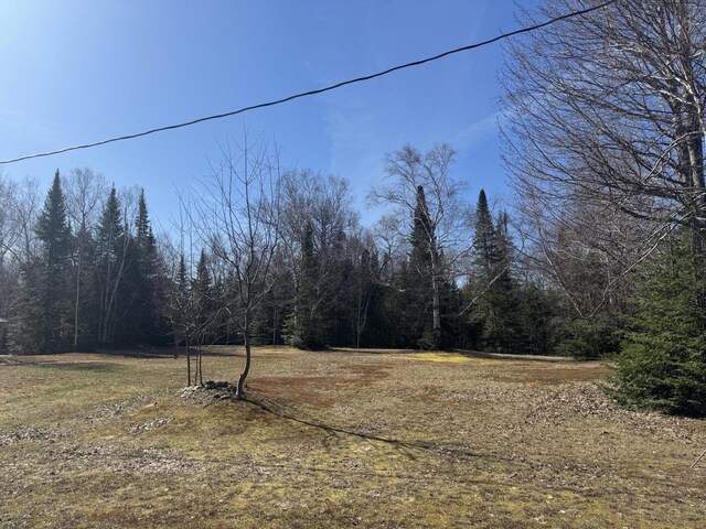 view of yard featuring a view of trees