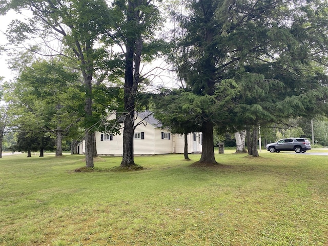 32003 W Chippewa Ave, Trout Lake, MI 49793 - photo 3