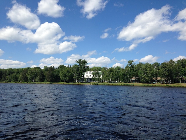 32003 W Chippewa Ave, Trout Lake, MI 49793 - photo 40