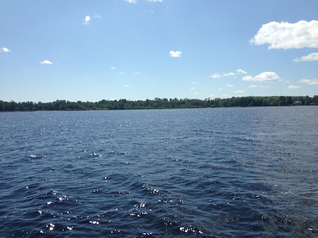 32003 W Chippewa Ave, Trout Lake, MI 49793 - photo 41