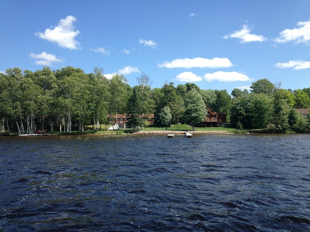 32003 W Chippewa Ave, Trout Lake, MI 49793 - photo 42