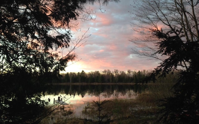 4550 E Simmons Rd, Hessel, MI 49745 - nature at dusk with a water view and a forest view
