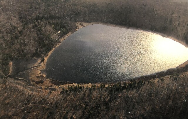 4550 E Simmons Rd, Hessel, MI 49745 - exterior view