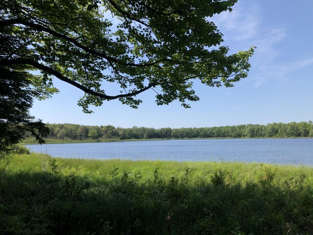 4550 E Simmons Rd, Hessel, MI 49745 - water view with a heavily wooded area