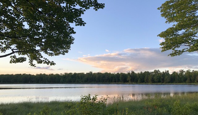 4550 E Simmons Rd, Hessel, MI 49745 - water view with a forest