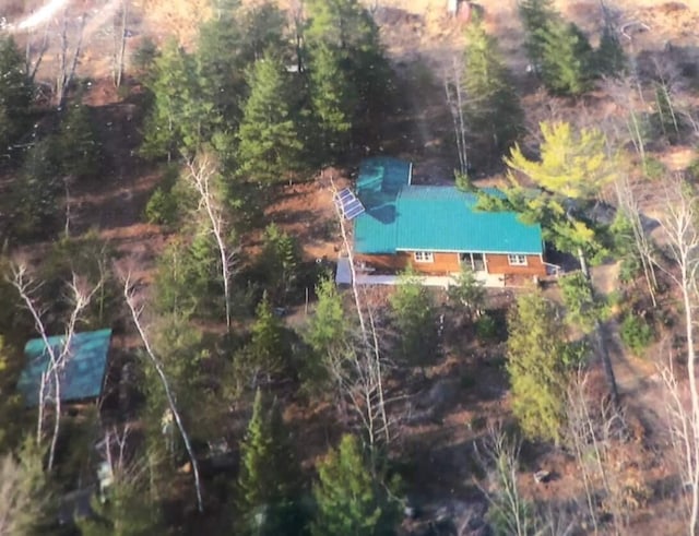 4550 E Simmons Rd, Hessel, MI 49745 - view from above of property