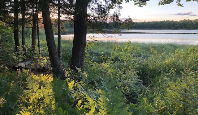 4550 E Simmons Rd, Hessel, MI 49745 - water view with a heavily wooded area