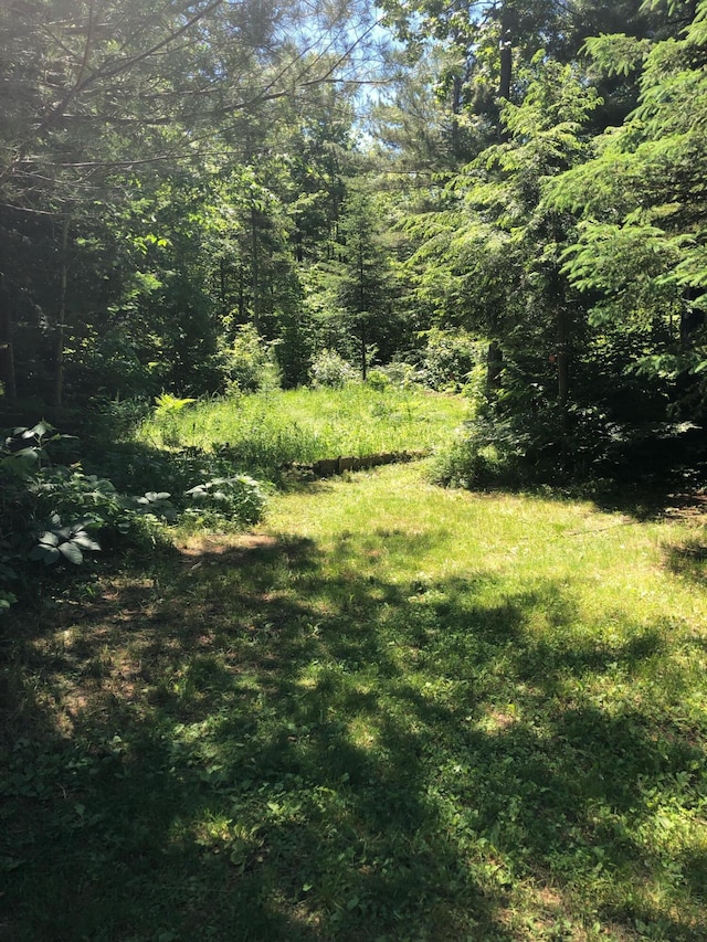 4550 E Simmons Rd, Hessel, MI 49745 - view of yard featuring a view of trees