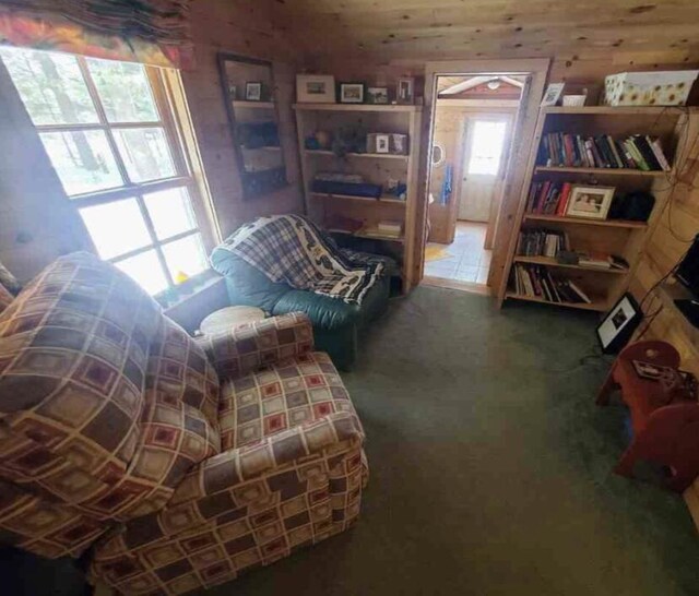 4550 E Simmons Rd, Hessel, MI 49745 - living area with carpet flooring