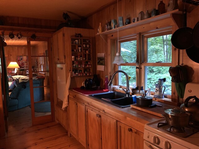 4550 E Simmons Rd, Hessel, MI 49745 - kitchen featuring wood walls, a sink, light wood finished floors, and brown cabinets
