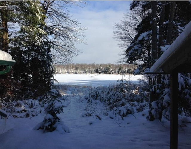 4550 E Simmons Rd, Hessel, MI 49745 - view of yard covered in snow