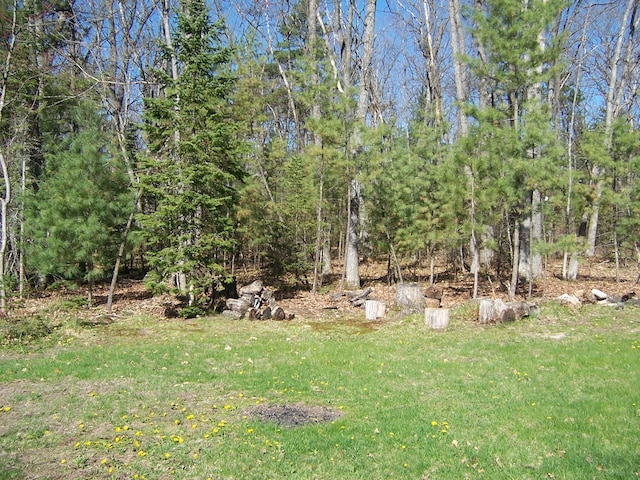 225 Goebel Ave, Roscommon, MI 48653 - photo 30