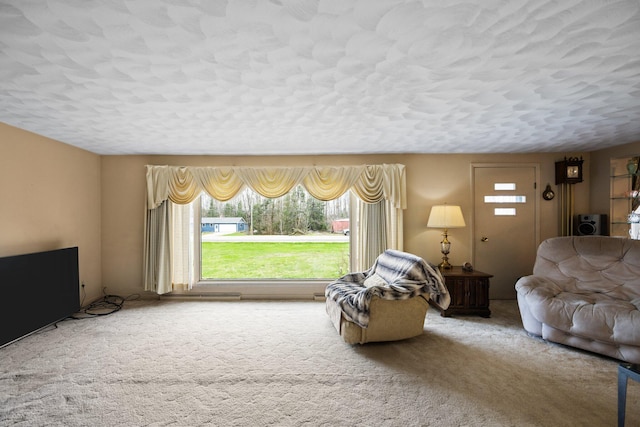 7654 M 32 E, Johannesburg, MI 49751 - carpeted living room featuring a textured ceiling