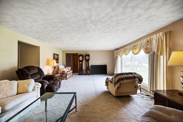 7654 M 32 E, Johannesburg, MI 49751 - living area with carpet floors and a textured ceiling
