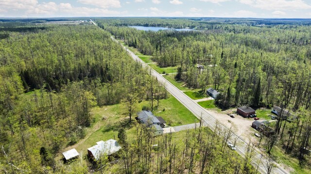 7654 M 32 E, Johannesburg, MI 49751 - drone / aerial view of a forest and a nearby body of water