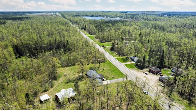 7654 M 32 E, Johannesburg, MI 49751 - drone / aerial view of a forest and a nearby body of water