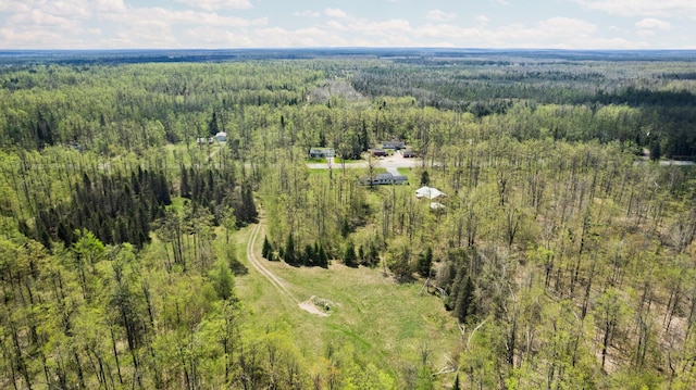 7654 M 32 E, Johannesburg, MI 49751 - aerial view of a forest