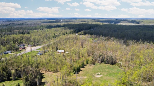 7654 M 32 E, Johannesburg, MI 49751 - bird's eye view of a forest