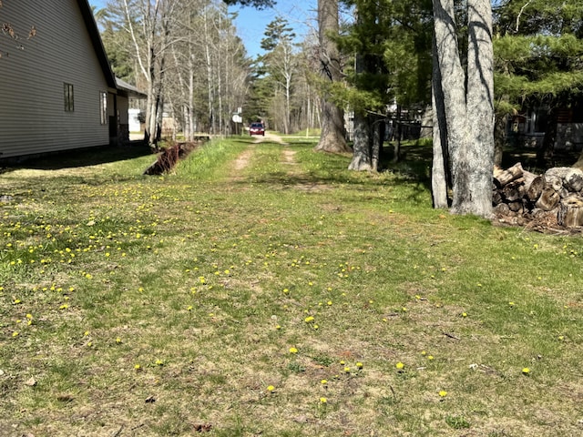 1321 Eagle Point Rd, Grayling, MI 49738 - view of yard
