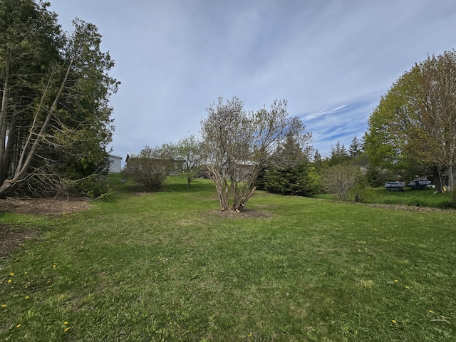 26 Michigan St, Saint Ignace, MI 49781 - view of grassy yard