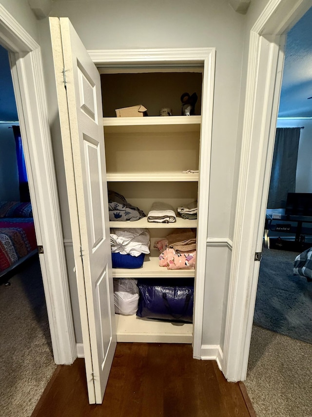 1073 S Hoot Owl Ln, Grayling, MI 49738 - view of closet