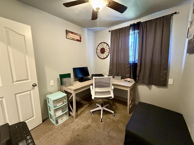 1073 S Hoot Owl Ln, Grayling, MI 49738 - office space with carpet flooring, a ceiling fan, and a textured ceiling