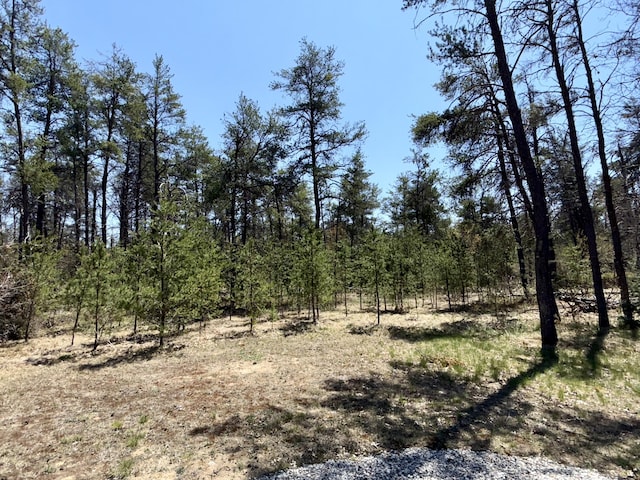1073 S Hoot Owl Ln, Grayling, MI 49738 - view of wooded area