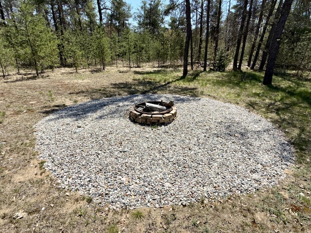1073 S Hoot Owl Ln, Grayling, MI 49738 - view of yard featuring an outdoor fire pit
