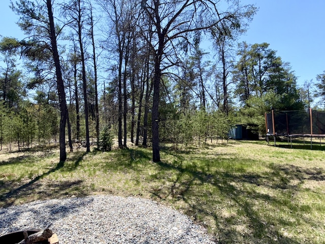 1073 S Hoot Owl Ln, Grayling, MI 49738 - view of grassy yard featuring a trampoline and an outdoor structure