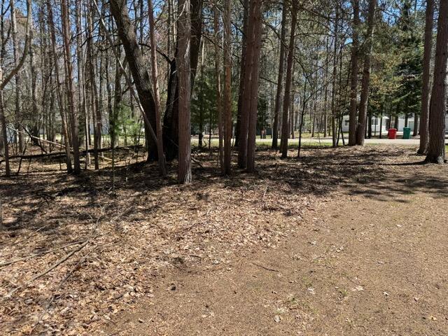 208 Linwood Dr, Prudenville, MI 48651 - photo 34