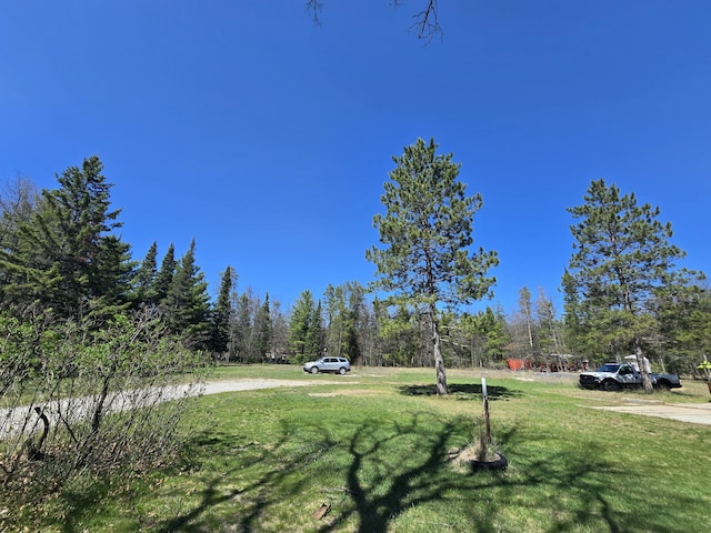 3625 Mckinley Rd, Mio, MI 48647 - view of grassy yard