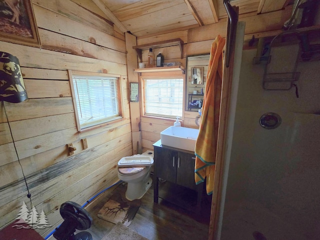 4097 Sunset Dr, Lewiston, MI 49756 - full bath featuring wooden walls, vanity, a stall shower, toilet, and lofted ceiling