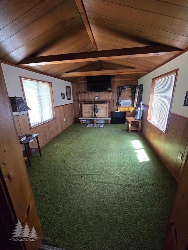 4097 Sunset Dr, Lewiston, MI 49756 - carpeted living area featuring wood walls, a wainscoted wall, and wood ceiling