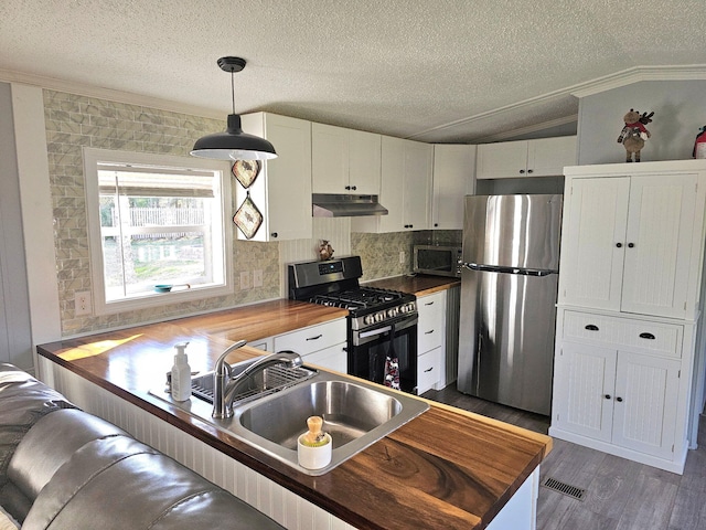 10340 US-23, Cheboygan, MI 49721 - kitchen featuring stainless steel appliances, butcher block counters, a sink, under cabinet range hood, and ornamental molding