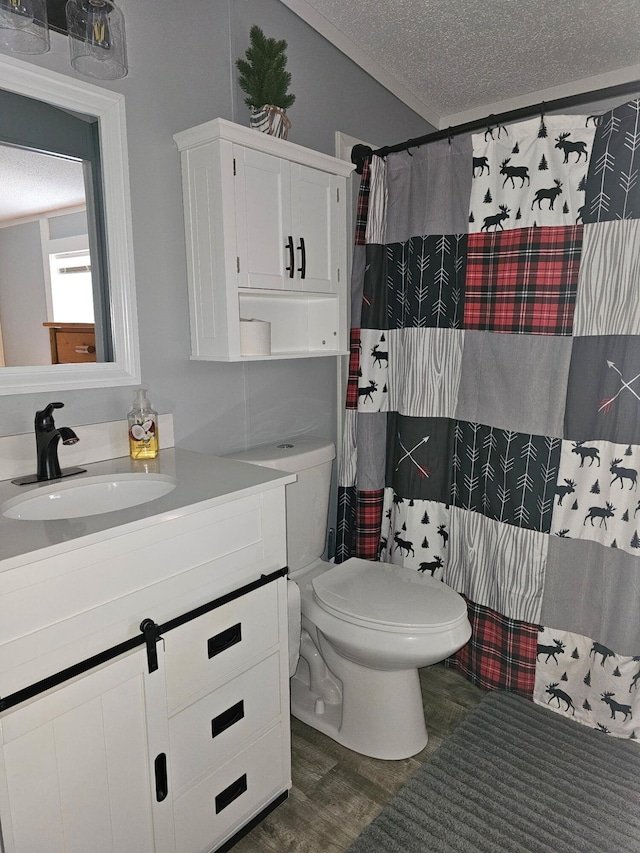 10340 US-23, Cheboygan, MI 49721 - full bath with toilet, a textured ceiling, vanity, wood finished floors, and curtained shower
