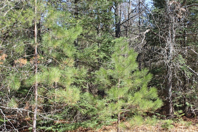 2032 W Oak Rd, Luzerne, MI 48636 - view of tree filled area