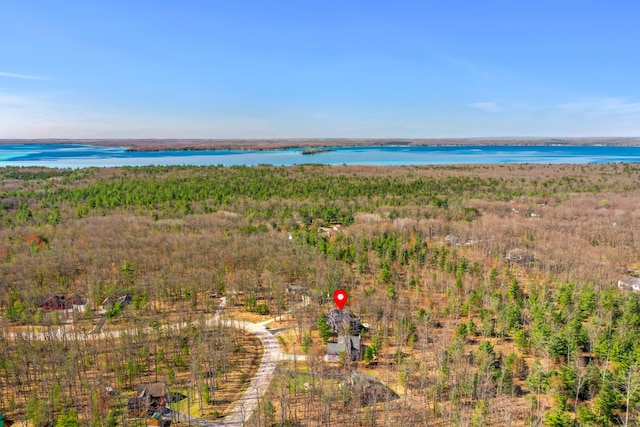 343 Crystal Ln, Roscommon, MI 48653 - aerial view of a large body of water