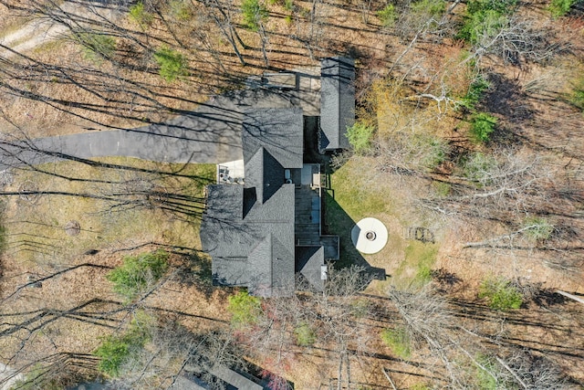 343 Crystal Ln, Roscommon, MI 48653 - view from above of property