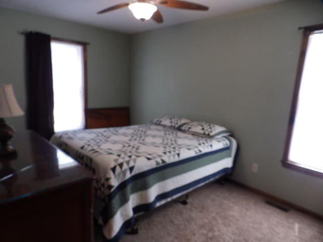 7928 Blueberry Ln, Johannesburg, MI 49751 - carpeted bedroom with multiple windows and ceiling fan