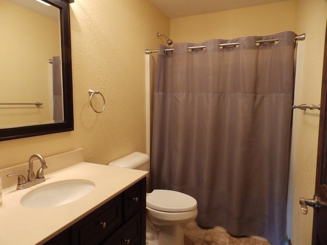 7928 Blueberry Ln, Johannesburg, MI 49751 - bathroom featuring a textured wall, toilet, vanity, and curtained shower