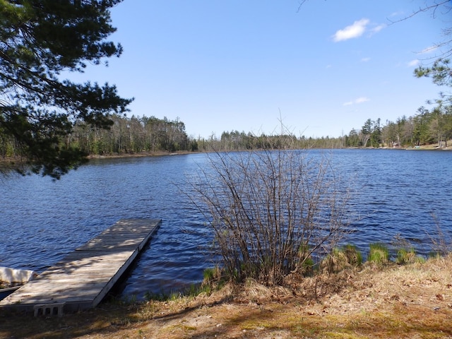 7928 Blueberry Ln, Johannesburg, MI 49751 - dock featuring a water view and a wooded view