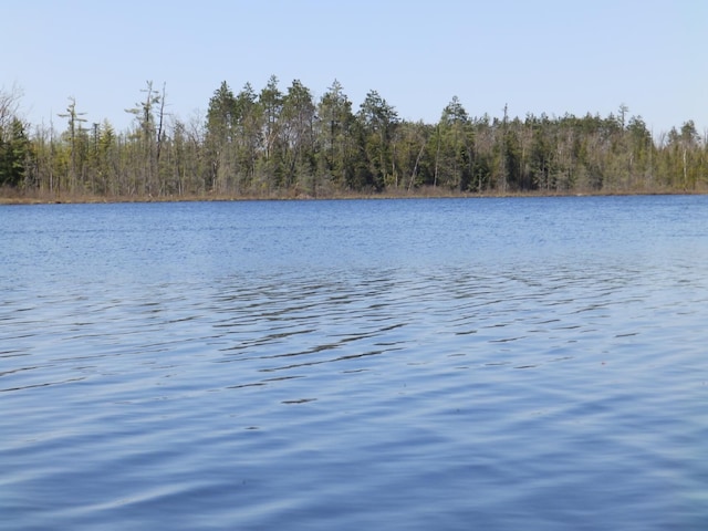 7928 Blueberry Ln, Johannesburg, MI 49751 - water view featuring a forest