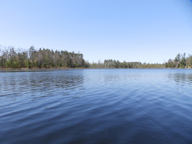 7928 Blueberry Ln, Johannesburg, MI 49751 - water view