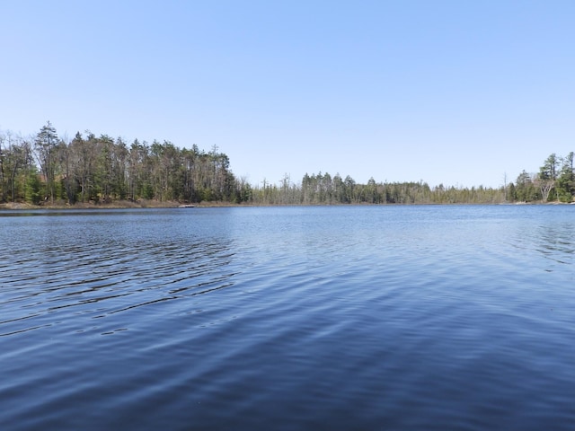 7928 Blueberry Ln, Johannesburg, MI 49751 - water view