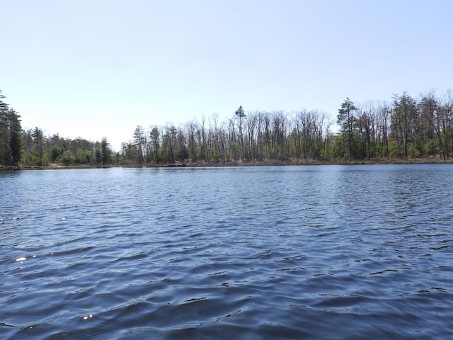 7928 Blueberry Ln, Johannesburg, MI 49751 - water view